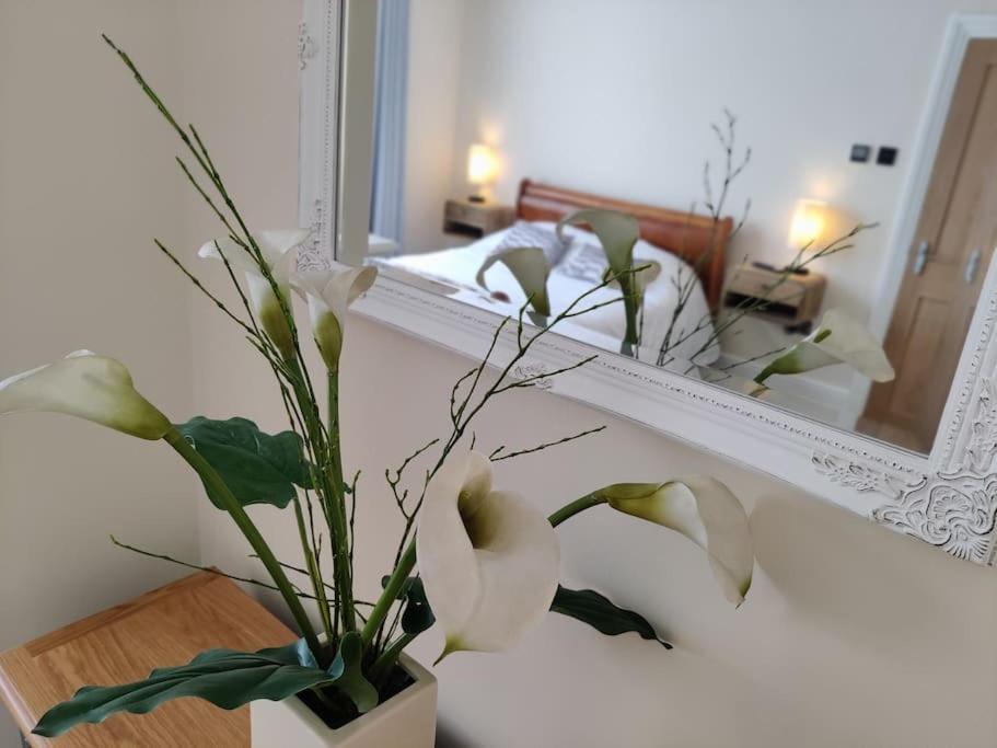 Escape To The Coast In A Luxurious Private Apartment Herne Bay Ngoại thất bức ảnh
